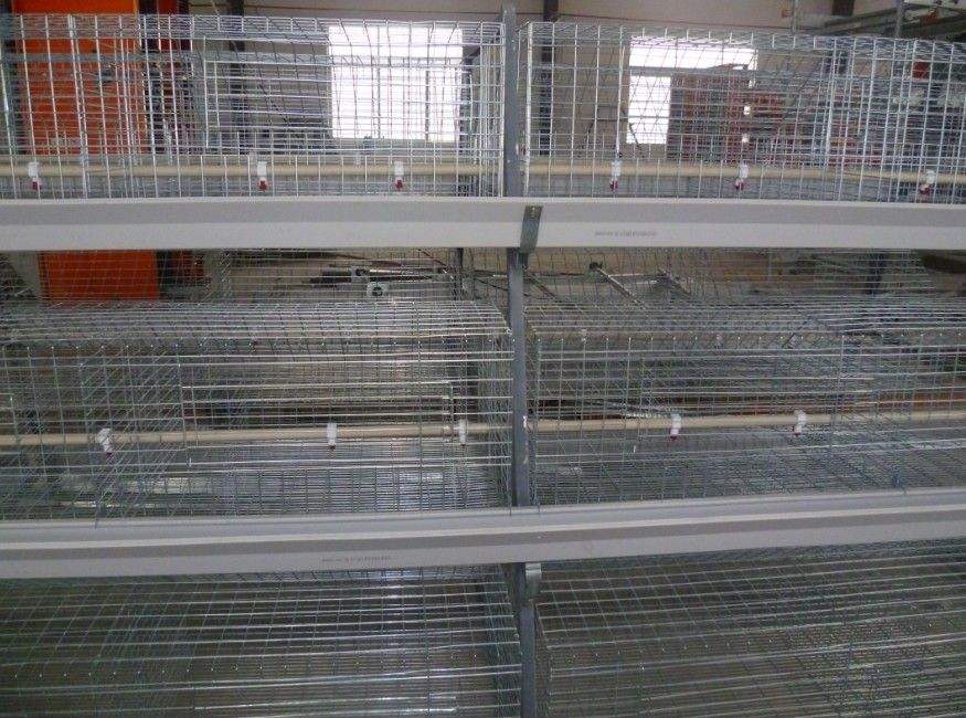 Hen farming machine
