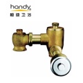 China Button Type Toilet Flush Valve Supplier