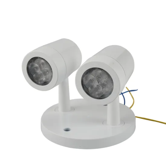 FEITUO Lighting CNDRH2 Emergency LED Remote Dual Head Fixture: Your Reliable Choice for Safety and Illumination