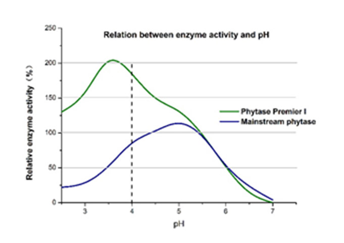 feed-Nutrizyme PHY-P-1