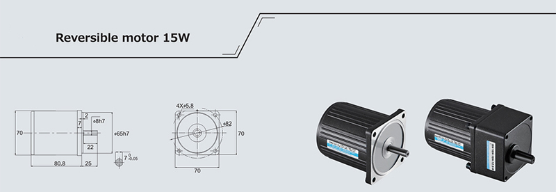 Reversible Motor 15w