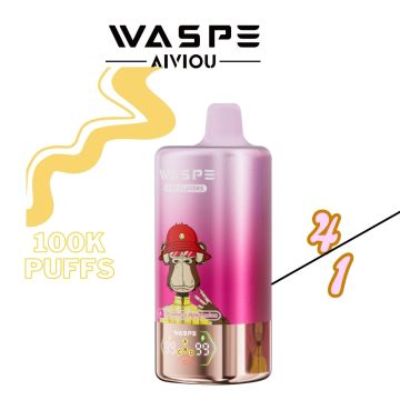 WASPE 100K Puffs Vape Pods Wholsale Price