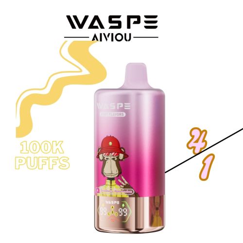 WASPE 100K Puffs Vape Pods Wholsale Price