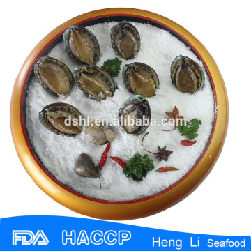 Seafood frozen abalone in abalone season