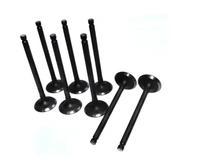 Cummins ISX Intake Valve