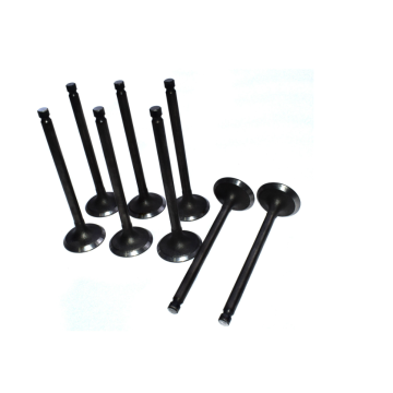 Intake Valve 2221123600 for Engine