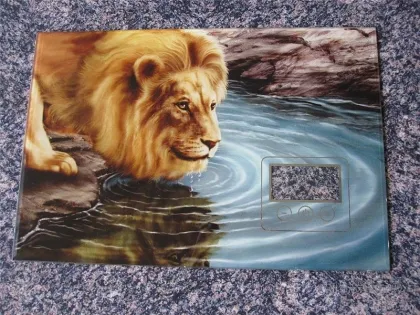 digital glass printing machine