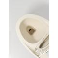 Bathroom Sanitary Ware Ivory One Piece Chinese Closet