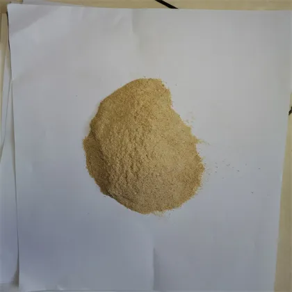 Animal Feed Probiotics 20 Billion CFU/g Live