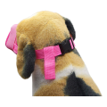 Dog Muzzle with Adjustable Straps