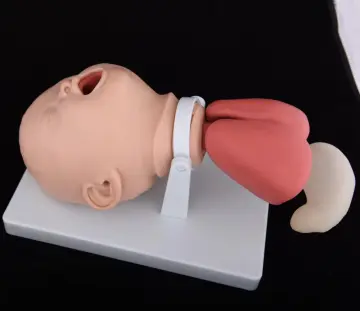 Infant Intubation Training Model