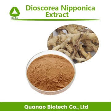 Dioscorea Nipponica Extract Powder Diosgenin 98%Price