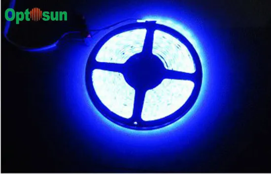 4.8w/m Blue Smd 3528 Led Strip Light Ip68 Waterproof With 120° Beam Angle For Architectural
