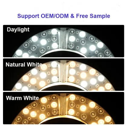 Chinese Manufacturer Competitive Priced Dimmable Ceiling Light Modules Kits