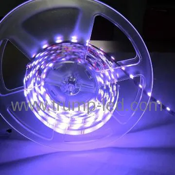 5050 dream led strip dmx controlled