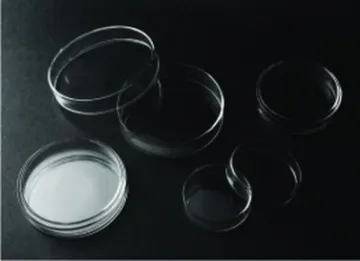 Glass Petri Dish