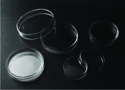 Kaca Petri Dish