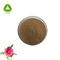 Natural Organic Syrup Marshmallow Root Extract Powder