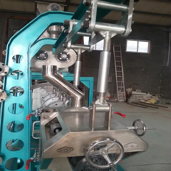 Dog Treat Biscuit Making Machine - Pet Snack Food Equipment