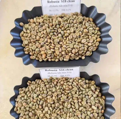 Hali Robusta Green Beans