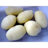 Export Chinese Fresh Potato