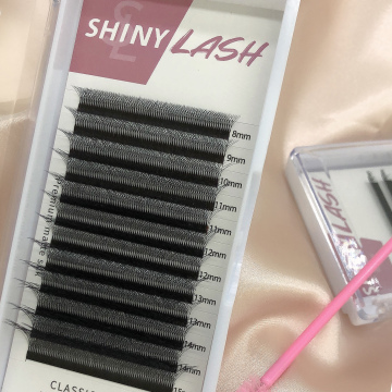 W Shaped Eyelash Extension Wholesale: 5D Effect Clover Individual Lashes Extensions 30mm