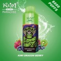 Factory Price R&M PARADISE 8K Disposable