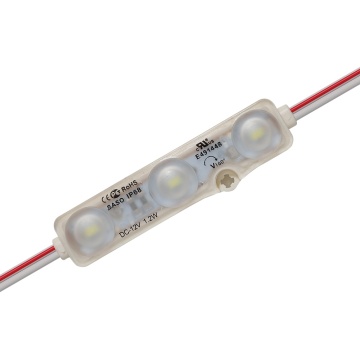 Holiday Point Luce LED Lights for Home and Outdoor Christmas Decorations - 12V LED
