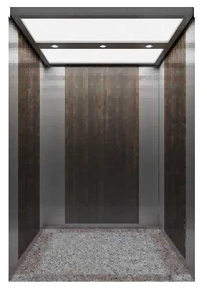 Small Machine Room Cargo Elevator