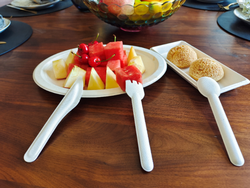 Disposable Biodegradable Sugarcane Bagasse Pulp Biodegradable Cutlery of Bagasse and PLA