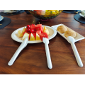 Disposable Biodegradable Sugarcane Bagasse Pulp Biodegradable Cutlery of Bagasse and PLA