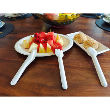 Disposable Biodegradable Sugarcane Bagasse Pulp Biodegradable Cutlery of Bagasse and PLA