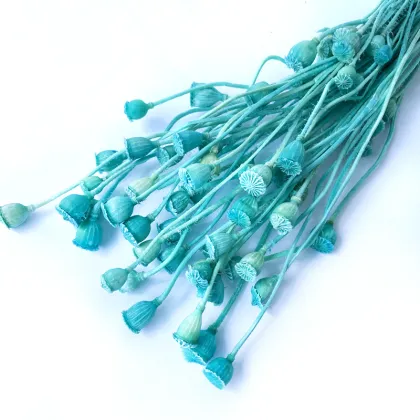 Wholesale Natural Dried Preserved Poppy Fruit for Wedding Decor