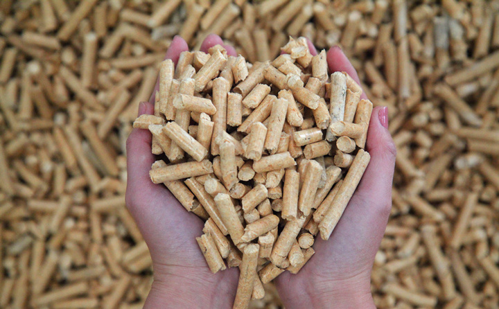 wood pellet