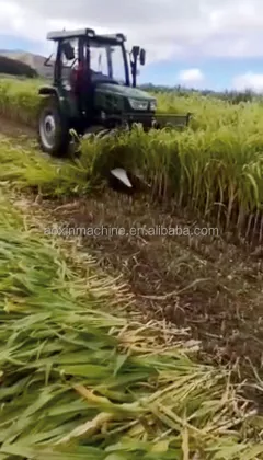 Mini Combine Harvester for Grains: Oats, Rice, Soybeans, Chili, Wheat, Highland Barley - Best Price