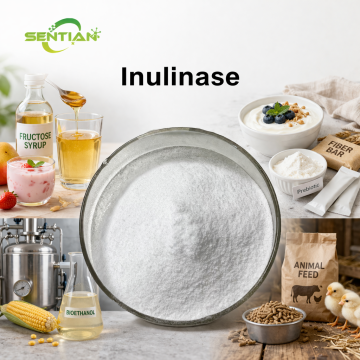 Inulinase Enzyme Powder Wholesale