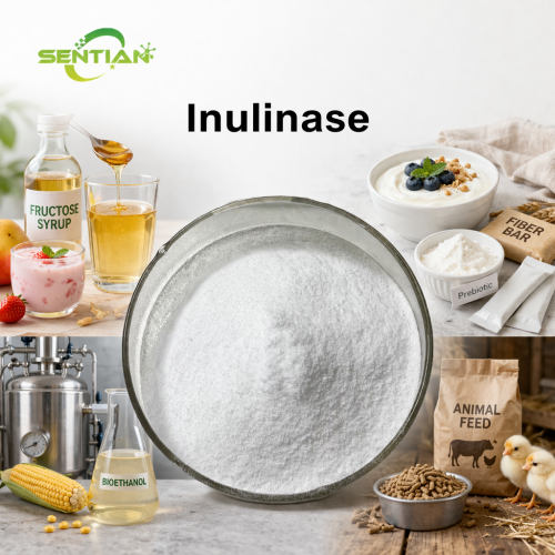 Inulinase Enzyme Powder Wholesale