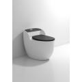 Новый дизайн белый серый красочный туалет.