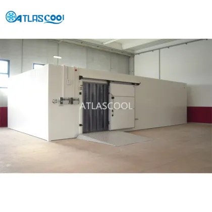 Quick Freezing Cold Storage Room
