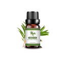 Organic Certified Cajeput Essential Oil