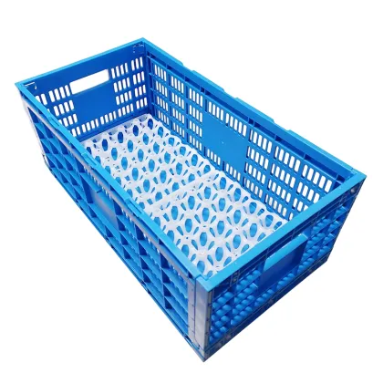 30-Egg Reusable Plastic Incubator and Egg Tray for Chicken Eggs