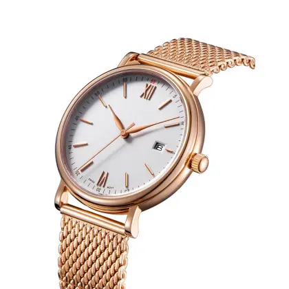 Man Automatic Mechanical Watch