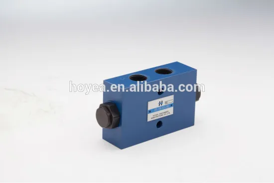 Hydraulic operated check valves
