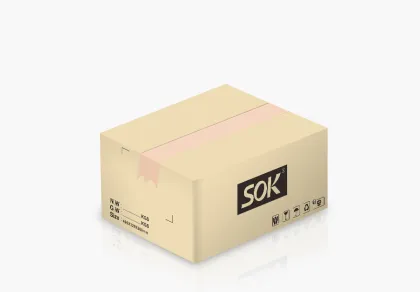 Smart Life Voice Control via Alexa Echo Google