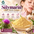 Silimarina 80% Extrato de Cardo Mariano com 30% –50% de Silibina