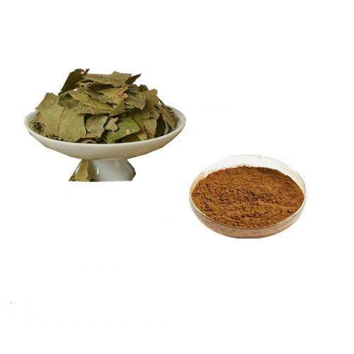 Natural Paniculata Extract Powder