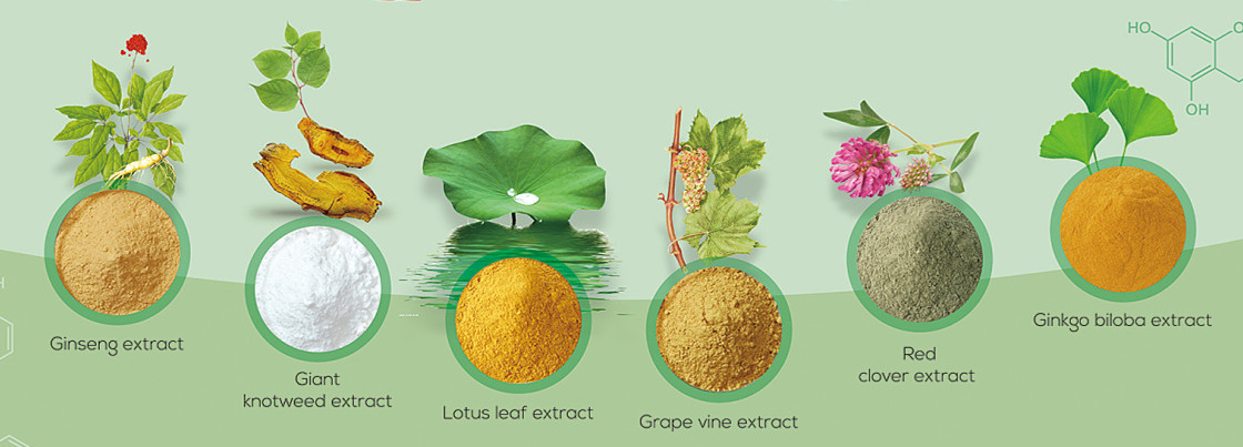 plant extract