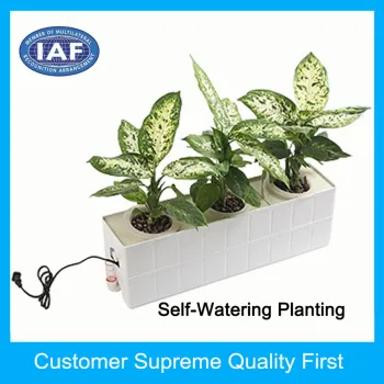 20 years old custom good quality plastic flower pot inject mould
