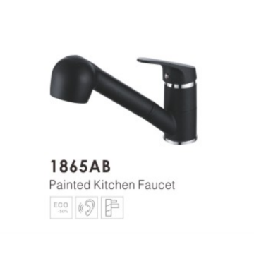 Painted Kitchen Faucet 1865AB