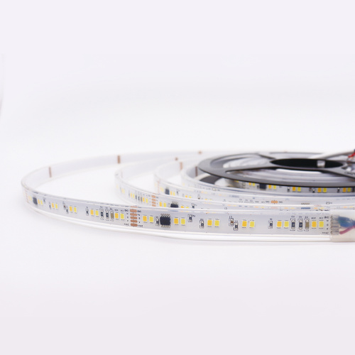 Neues Programm DMX512 CCT adressierbar 2835 LED Pixel Tape Light IP68 DMX Strip LED -Leuchten